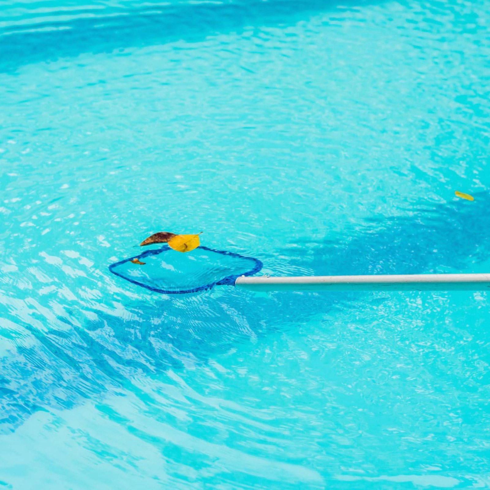 Detachable Pool Foliage Net Ea - Pool Skimmer Net ulasan dan harga